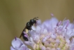 Photo nature