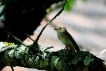 Photo nature