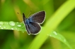 Photo nature