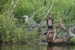 Photo nature