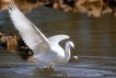 Photo nature