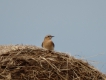 Photo nature