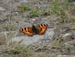 Photo nature