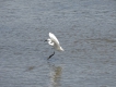 Photo nature