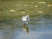 Photo nature