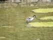 Photo nature