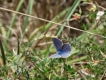 Photo nature