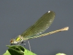 Photo nature