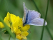 Photo nature