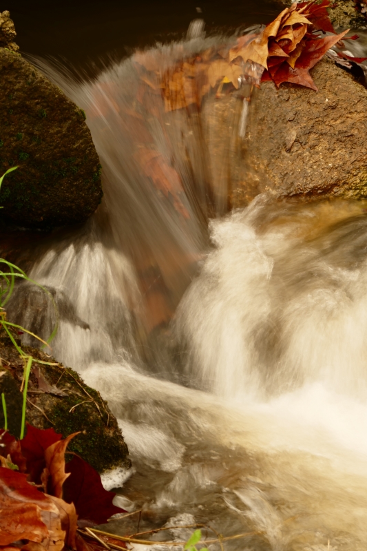 Photo Paysages naturels