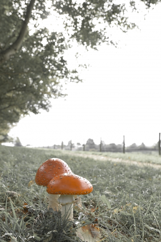 Photo Autres