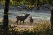 Photo nature