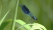 Photo nature