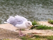 Photo nature