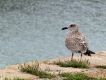 Photo nature