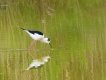 Photo nature