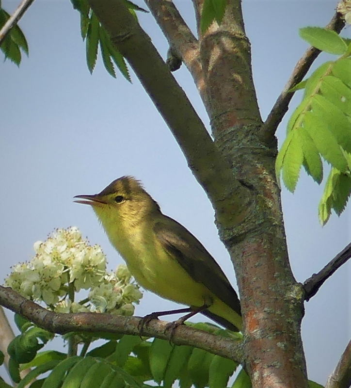 P1020038_2.JPG