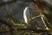 Photo nature