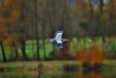 Photo nature