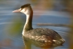 Photo nature