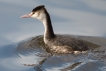 Photo nature