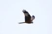 Photo nature