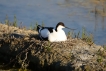 Photo nature
