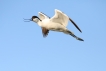 Photo nature
