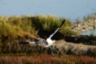Photo nature