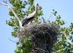 Photo nature