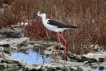 Photo nature
