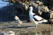 Photo nature