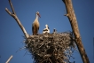 Photo nature