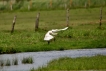 Photo nature