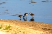 Photo nature