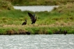 Photo nature