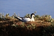 Photo nature