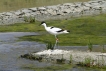 Photo nature