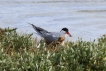 Photo nature