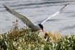 Photo nature