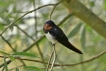 Photo nature