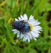 Photo nature