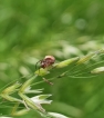 Photo nature