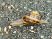 Photo nature