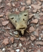 Photo nature