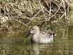 Photo nature
