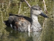 Photo nature