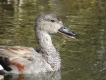Photo nature