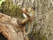 Photo nature