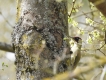 Photo nature